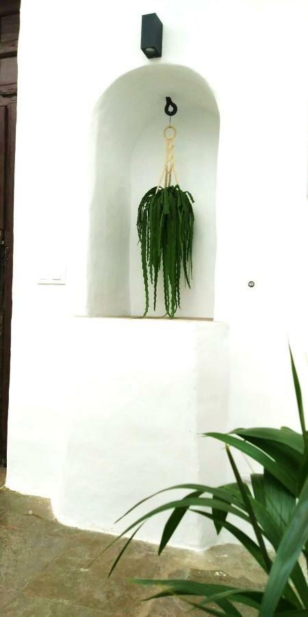 La Fuente 14, Casa Solariega En Pleno Centro Apartment Vejer de la Frontera Ngoại thất bức ảnh